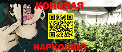 mdpv Рыбинск