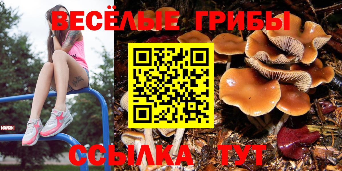 Псилоцибиновые грибы мухоморы Серпухов