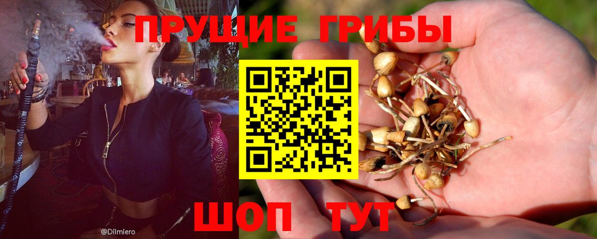 Серпухов  Псилоцибиновые грибы MAGIC MUSHROOMS  Вход с VPN 